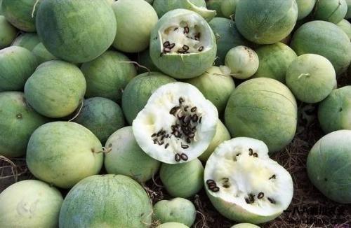 吃瓜群众的由来视频,揭秘网络热词背后的文化现象